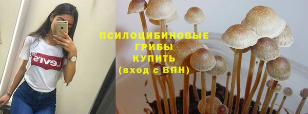 первитин Балахна