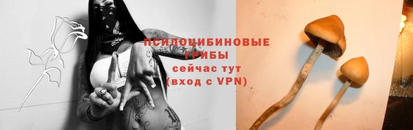 дмт Баксан